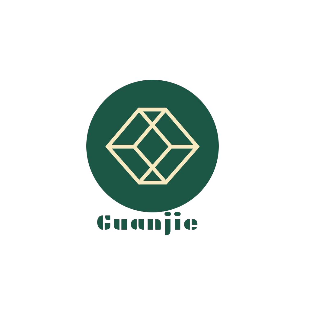 Guanjie Technology logo